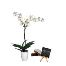 Cargar imagen en el visor de la galería, COMBO CUMPLEAÑOS FELIZ (INCLUYE TORTA DE CHOCOLOGY)