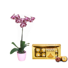 Cargar imagen en el visor de la galería, KIT SWEET