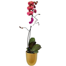 Cargar imagen en el visor de la galería, Orquidea un tallo Coral con Matera ceramica decorativa (MC)