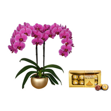 Cargar imagen en el visor de la galería, KIT AMARTE DELUXE: ORQUIDEA + CHOCOLATES FERRERO + MATERA CERAMICA
