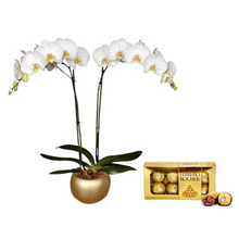 Cargar imagen en el visor de la galería, KIT AMARTE DELUXE: ORQUIDEA + CHOCOLATES FERRERO + MATERA CERAMICA