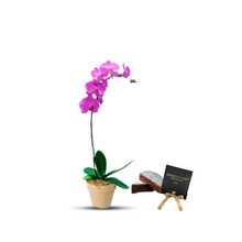 Cargar imagen en el visor de la galería, COMBO CUMPLEAÑOS FELIZ (INCLUYE TORTA DE CHOCOLOGY)