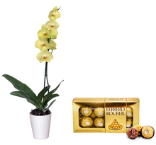 Cargar imagen en el visor de la galería, KIT SWEET