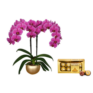 KIT AMARTE FUCSIA DELUXE: ORQUIDEA + CHOCOLATES FERRERO + MATERA CERAMICA