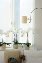Cargar imagen en el visor de la galería, Orquidea alta dos tallos Blanca Eleganza con matera plastica decorativa(MP)
