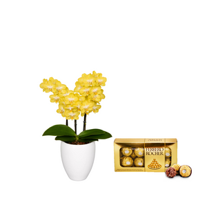 KIT ORQUIDEA MEDIANA + CHOCOLATES FERRERO