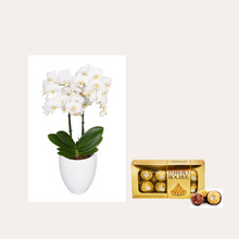 Cargar imagen en el visor de la galería, KIT ORQUIDEA MEDIANA + CHOCOLATES FERRERO
