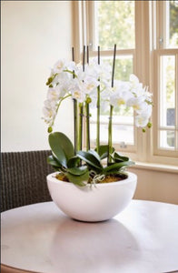 Arreglo Deluxe 6 varas de Orquideas altas Blancas en matera ceramica(AMC)